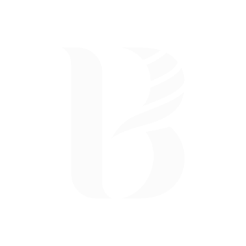 Logo Patrick Baraize